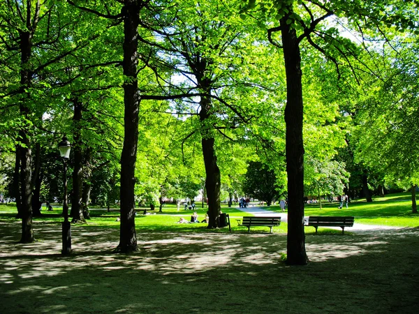 Stadtpark in Stockholm, Schweden Stockbild