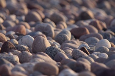 Rocky Shore Background clipart