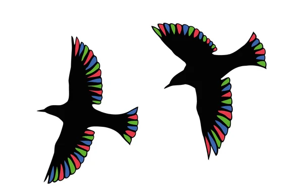 RGB Birds — Stock Photo, Image
