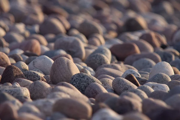 stock image Rocky Shore Background