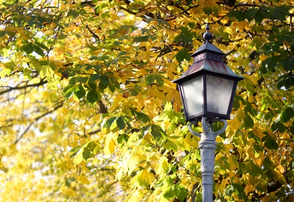 Sonbahar sokak lambası — Stok fotoğraf