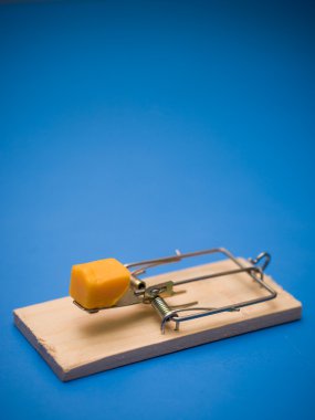 Mousetrap with cheese clipart