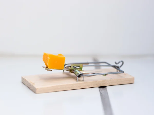 Mousetrap on floor — Stock Photo, Image