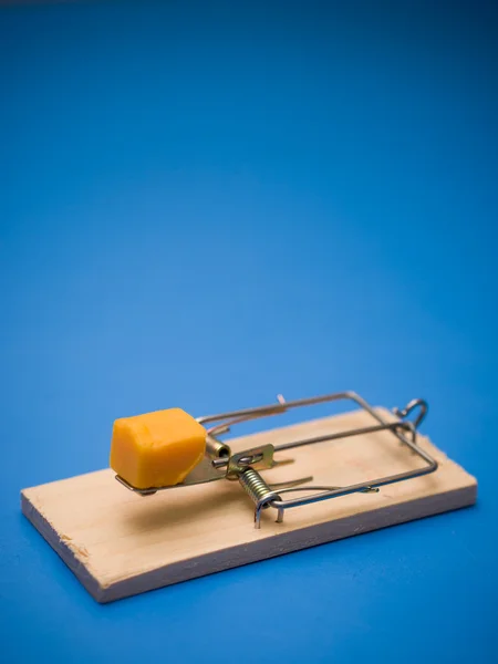 Mousetrap com queijo — Fotografia de Stock