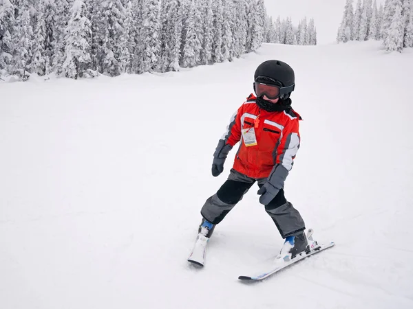 stock image Child skiing