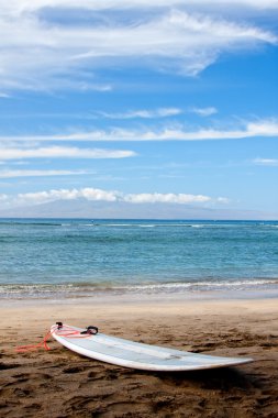 plajda sörf tahtası