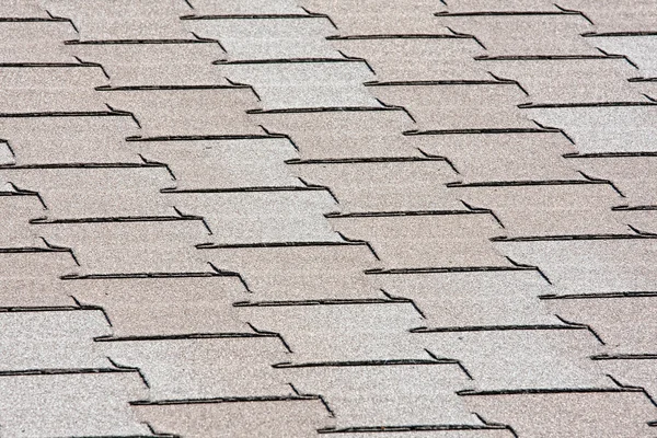 Półpasiec dachowy — Zdjęcie stockowe