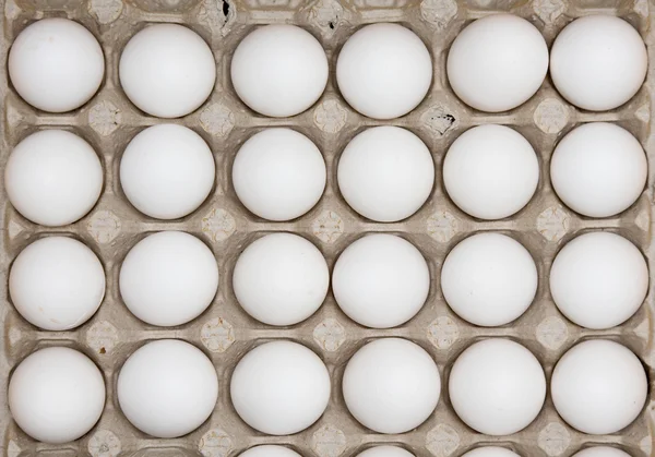 Dos docenas de huevos — Foto de Stock