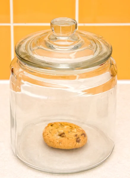 Último cookie — Fotografia de Stock