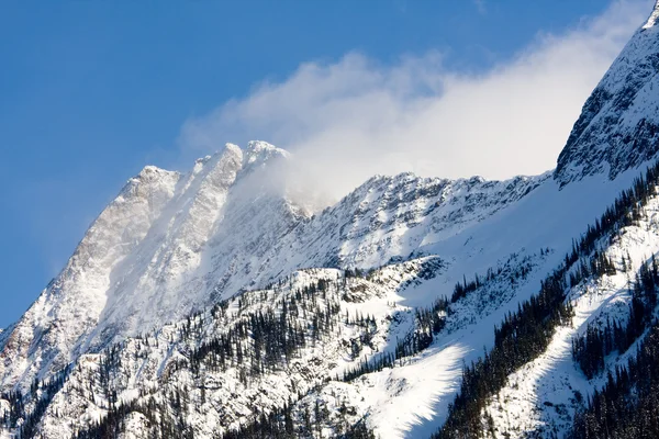 Snö täckta bergen — Stockfoto