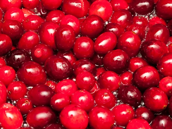 Cranberries boiling in water — Stock Photo, Image