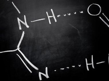 DNA moleküler bağ