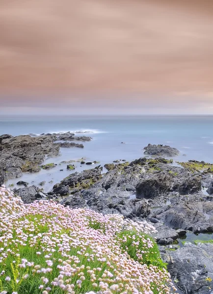 Coastal landscape in spring. — Stock Photo, Image