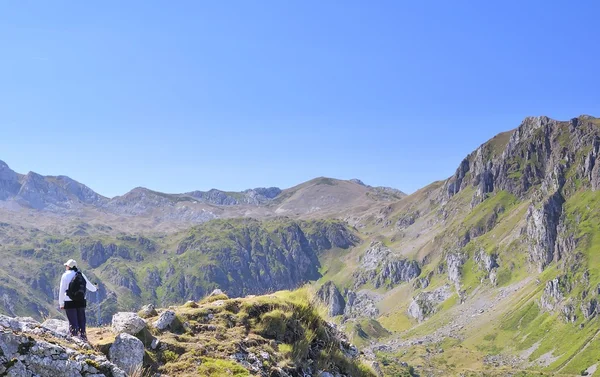 stock image Mountain trail.