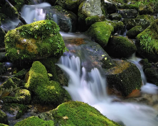 滝と自然. — ストック写真