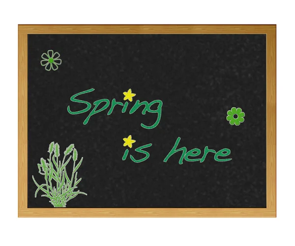 Spring. — Stock Photo, Image