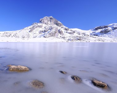 Lake ercina, asturias, İspanya.