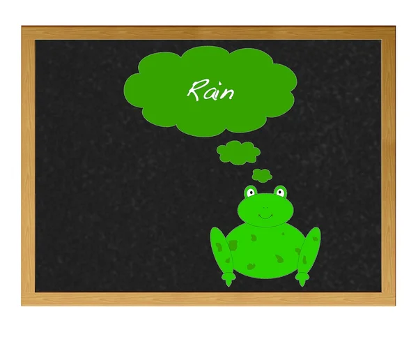 Зеленая лягушка . — стоковое фото