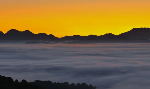 Sunrise in fog. — Stock Photo, Image
