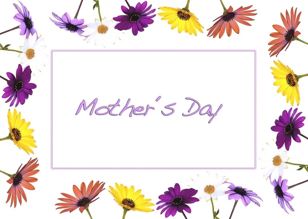 Mother day. — Stock Photo, Image