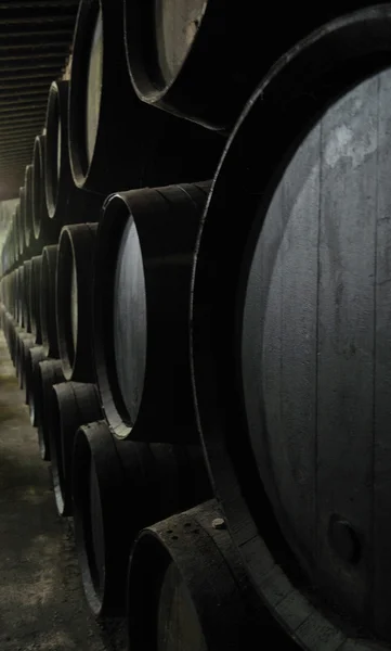 Winery. — Stock Photo, Image