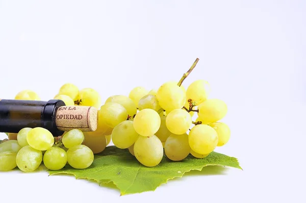 Winogron i wina. — Zdjęcie stockowe