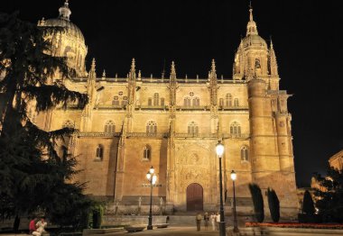 Salamanca Cathedral. clipart