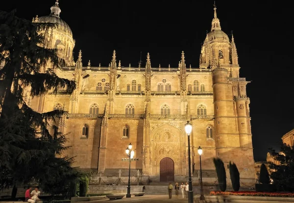 Salamanca cathedral. — Stockfoto