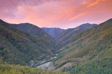 muniellos, asturias, İspanya.