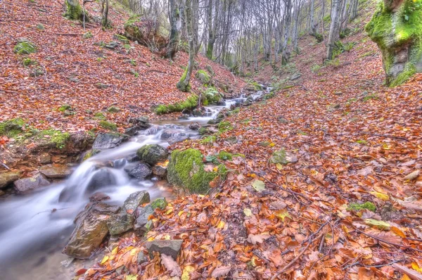 Podzimní řeka. — Stock fotografie