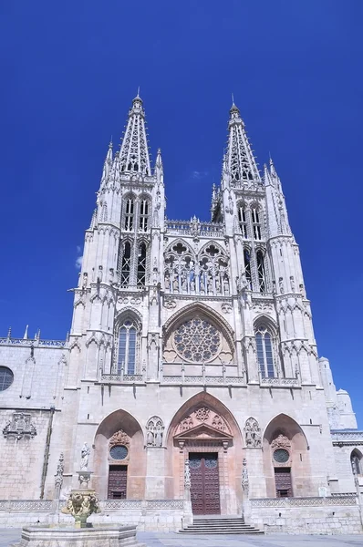 Kathedraal van Burgos. — Stockfoto