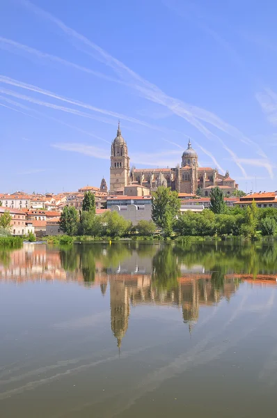 Salamanca cathedral. — Stock Fotó