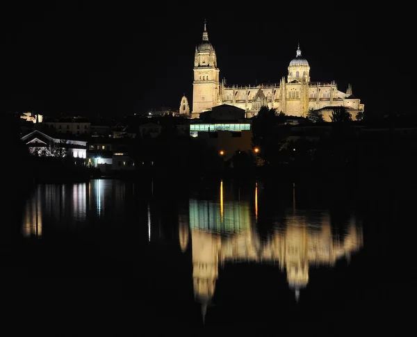 Catedral de Salamanca . — Fotografia de Stock