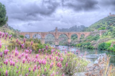 Bridge of Alcantara, Caceres, Spain. clipart