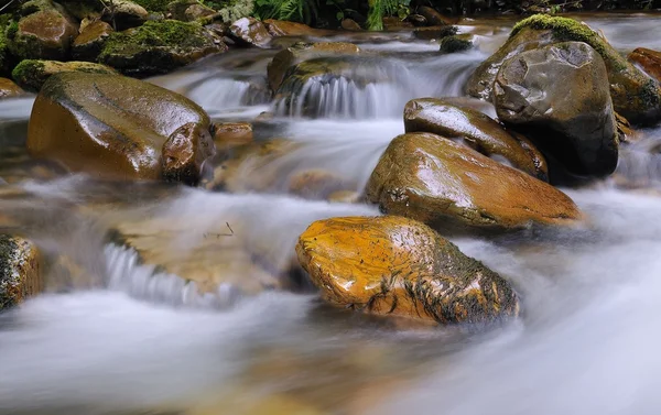 stock image Day of rain in the River.