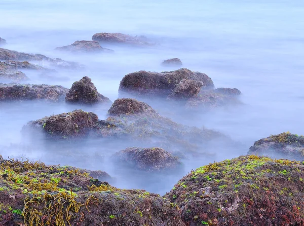 霧の海. — ストック写真