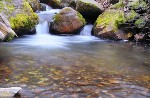 stock image River.