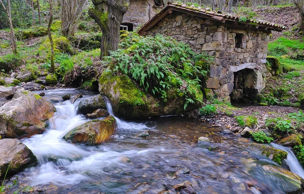 stock image Watermill.