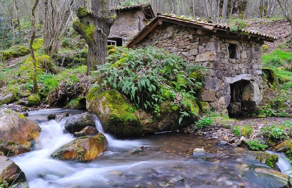 Watermill. — Stok fotoğraf