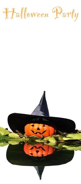 Bruxa de Halloween . — Fotografia de Stock