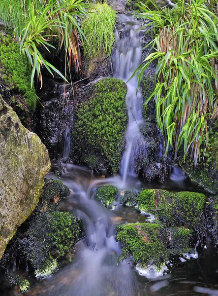 stock image River.