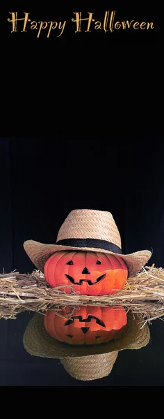 Pumpkin farmer. — Stock Photo, Image