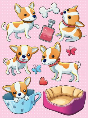 Chihuahua Puppy clipart