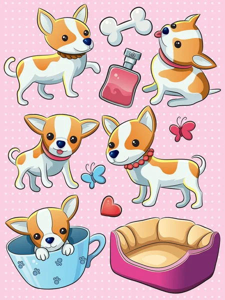 Chihuahua Puppy — Stock Vector