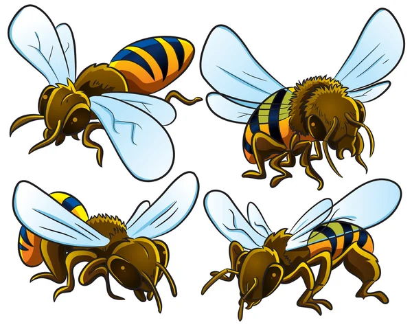 Včely kolekce — Stockový vektor