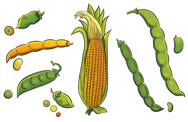 Collecte de céréales — Image vectorielle