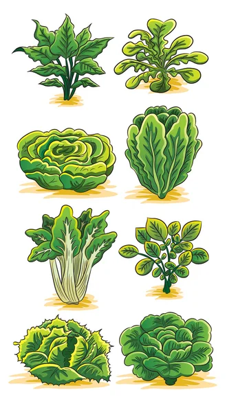 Sammlung von grünem Gemüse — Stockvektor