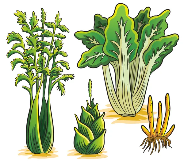 Colheita de vegetais verdes — Vetor de Stock