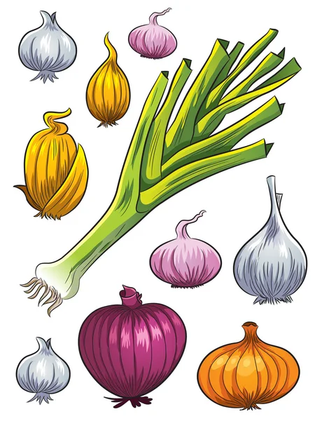 Onion Collection — Stock Vector