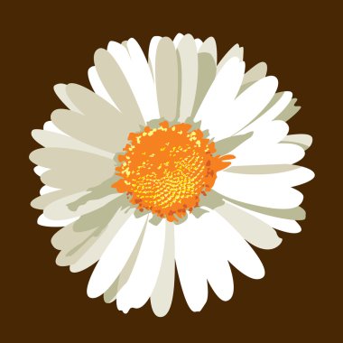 Daisy Flower Illustration. Vector Background. clipart